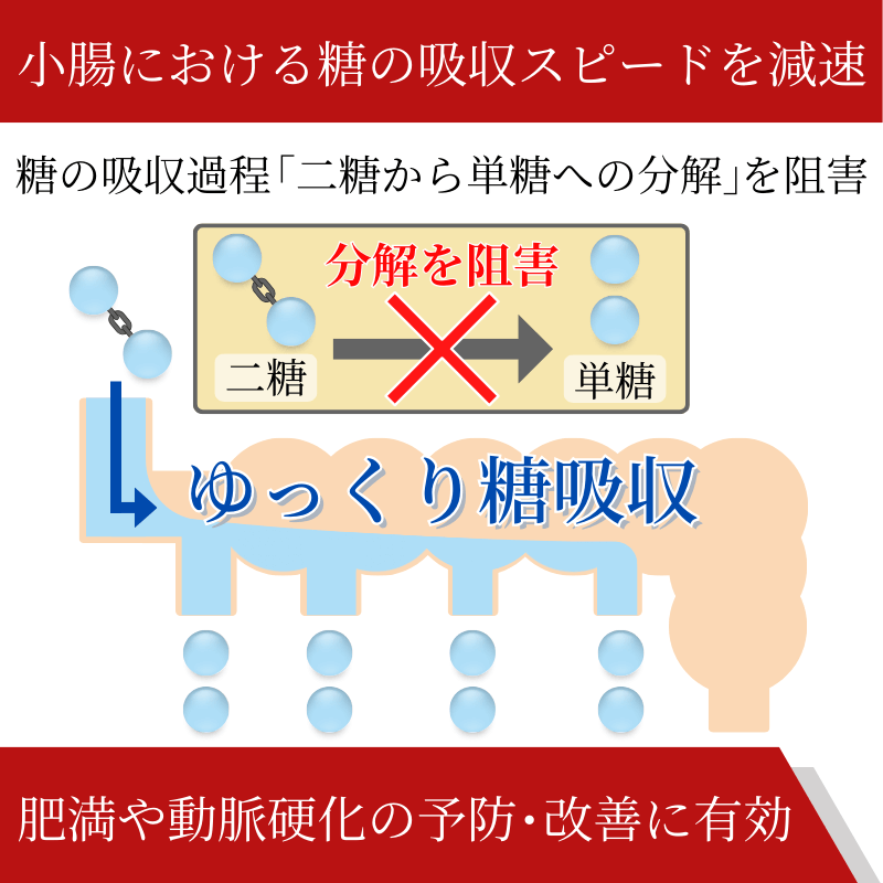 グルコバイ50mgの効果