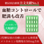 メトホル500mgの概要