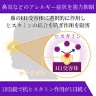 ジルテック10mgの効果