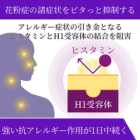 ザイザル5mgの効果