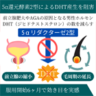 フィナスト5mgの効果