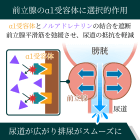 シロファスト4mgの効果