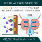 シロファスト8mgの効果