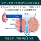 ゲスチン5mgの効果