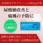 ザイロリック100mg(250錠)の特徴
