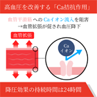 ノルバスク5mgの効果