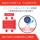 アムリプ2.5mgの効果