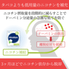 ニコテックス2mgの効果