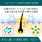 ニゾラールシャンプー2%の効果