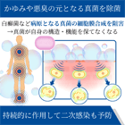 デノンソープ2%の効果
