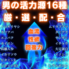サイズプロウルトラの成分