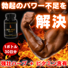ギガマックスパワーの概要