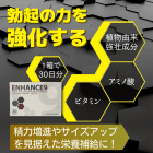 エンハンス9の概要