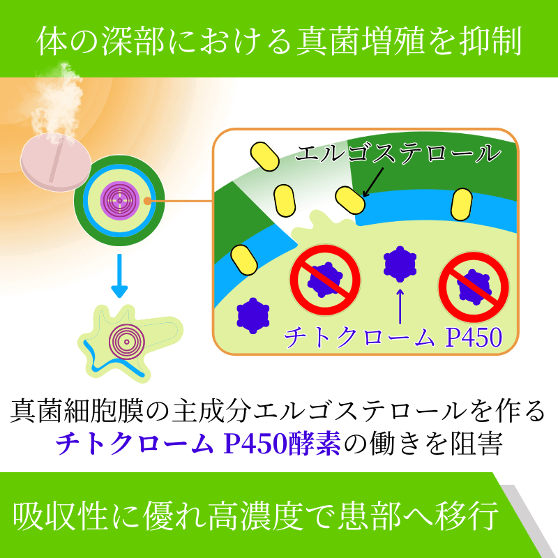 フォルカン200mgの特徴