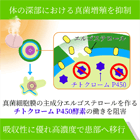 フォルカン150mg(40錠)の特徴