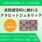 レボクイン500mgの概要