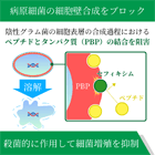 ジプラックス200mgの効果