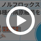 ノルフロックス400mgの特徴動画