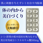 パウゼ500mg(10錠)の概要