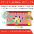 オルメトール20mgの効果
