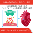 ビセレクト5mgの効果