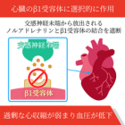 ビセレクト10mgの効果
