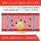 クレサー40mg(30錠)の効果