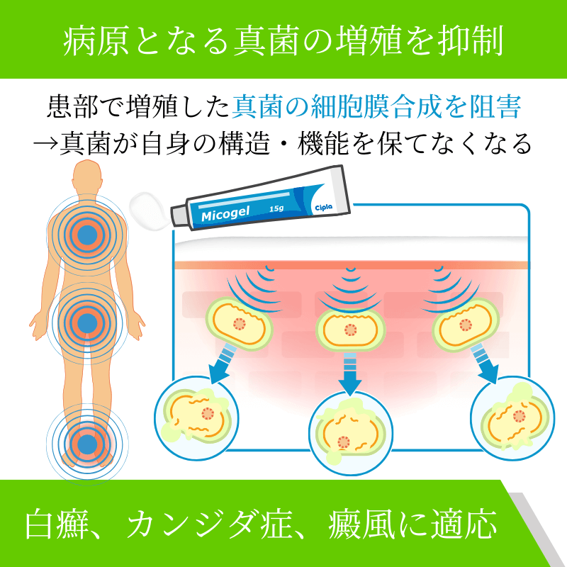 ミコゲルクリーム2%の効果
