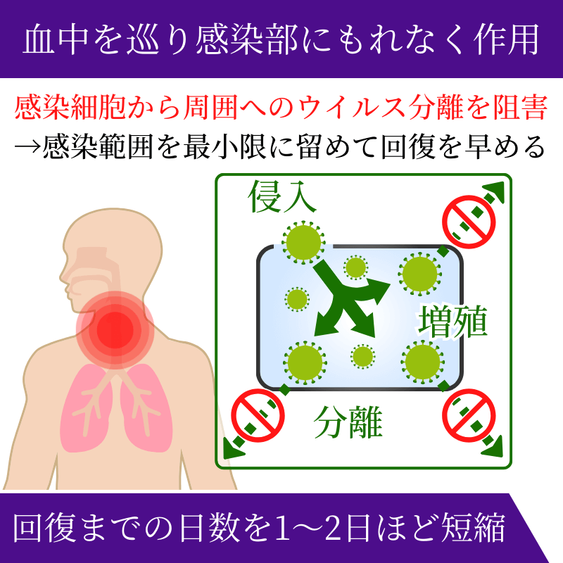 タミフル75mgの効果