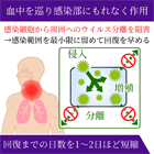 タミフル75mgの効果