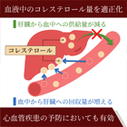 リピトール10mgの効果