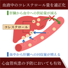 ストーバース10mgの効果