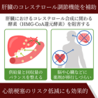 クレストール5mgの効果
