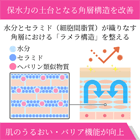 ヒルドイドフォルテクリームの効果