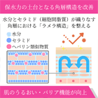 ヒルドイドフォルテジェルの効果