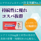 タダシップ20mgの概要
