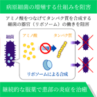 ゾクラー500mgの効果