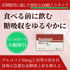 ハイボース100錠の概要
