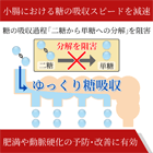 ハイボース100錠の効果
