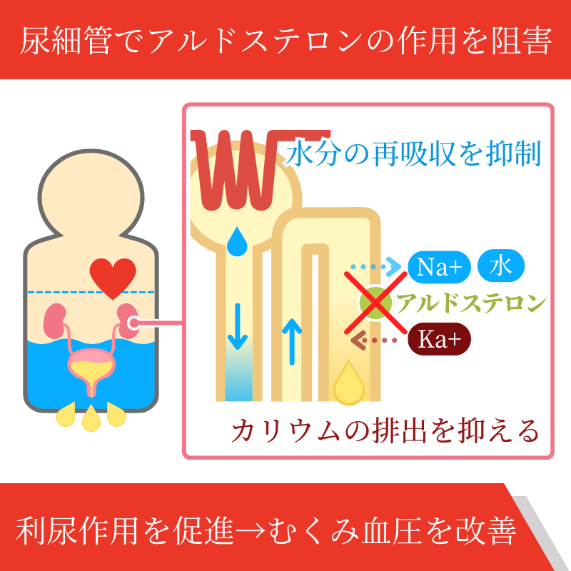 アルダクトン100mgの効果
