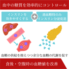 テンライファインM20mgの効果