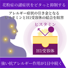 アレリニット5mgの効果