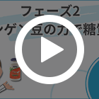 フェーズ2の特徴動画