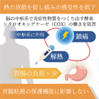パナドールエクストラ500mgの効果