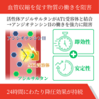 アジルスマート40mgの効果