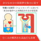 トール5mgの効果
