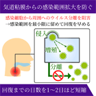 リレンザ5mgの効果