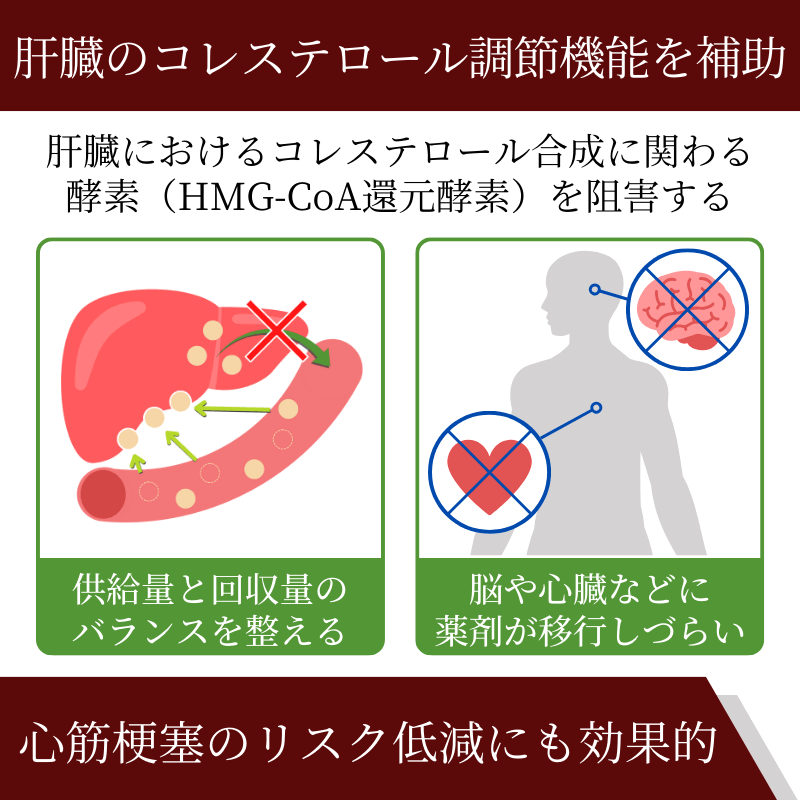 コルナー5mgの効果