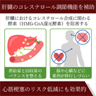 コルナー5mgの効果