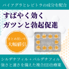 シルビトラの概要
